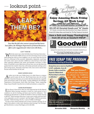 Page 61