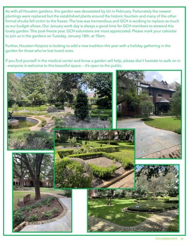 The 庭院 Path, November 2021 第 20 页