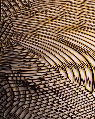 Dante Marioni : Line × Pattern 第 8 页
