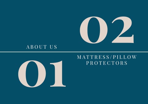 CL M/P protector 2021 第 2 页