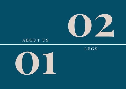 CL legs 家具型录 2021 第 2 页