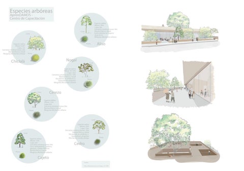 UN Sist. Terr. Arq. | Centro capacitación Apren-Damos 第 12 页