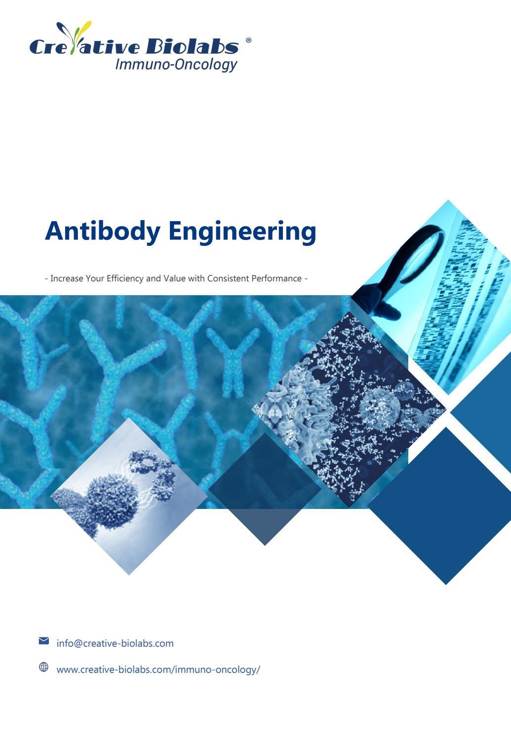 Antibody Engineering by Jerry Carter Issuu