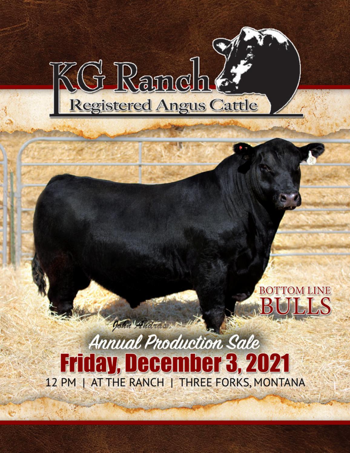 KG Ranch Annual Production Sale Catalog 2021 by PeltonLivestock Issuu