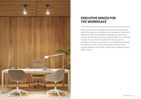 bluespace interiors - Executive Spaces 家具型录 第 3 页