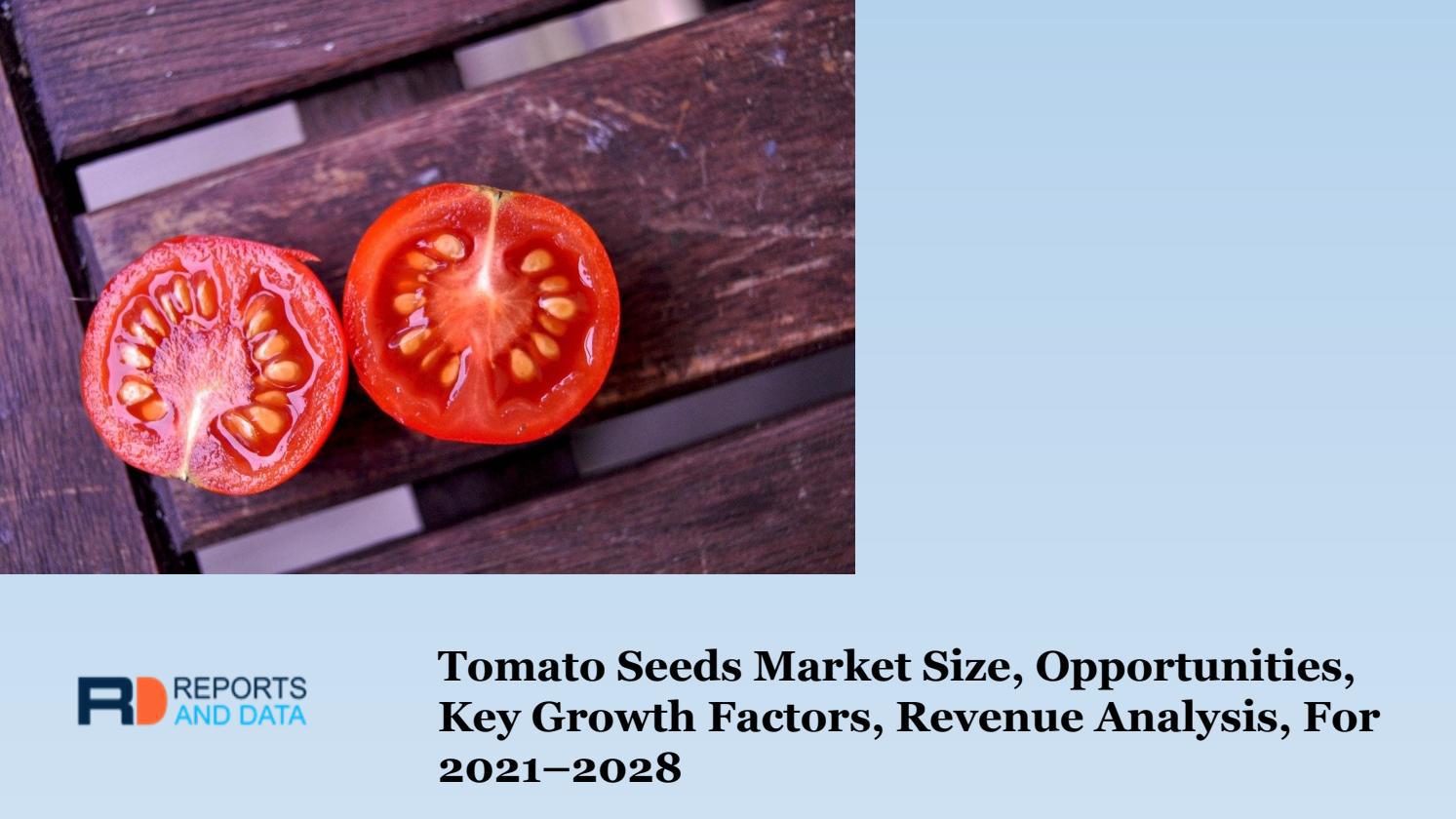 Tomato Seeds Market Size, Opportunities, Key Growth Factors, Revenue