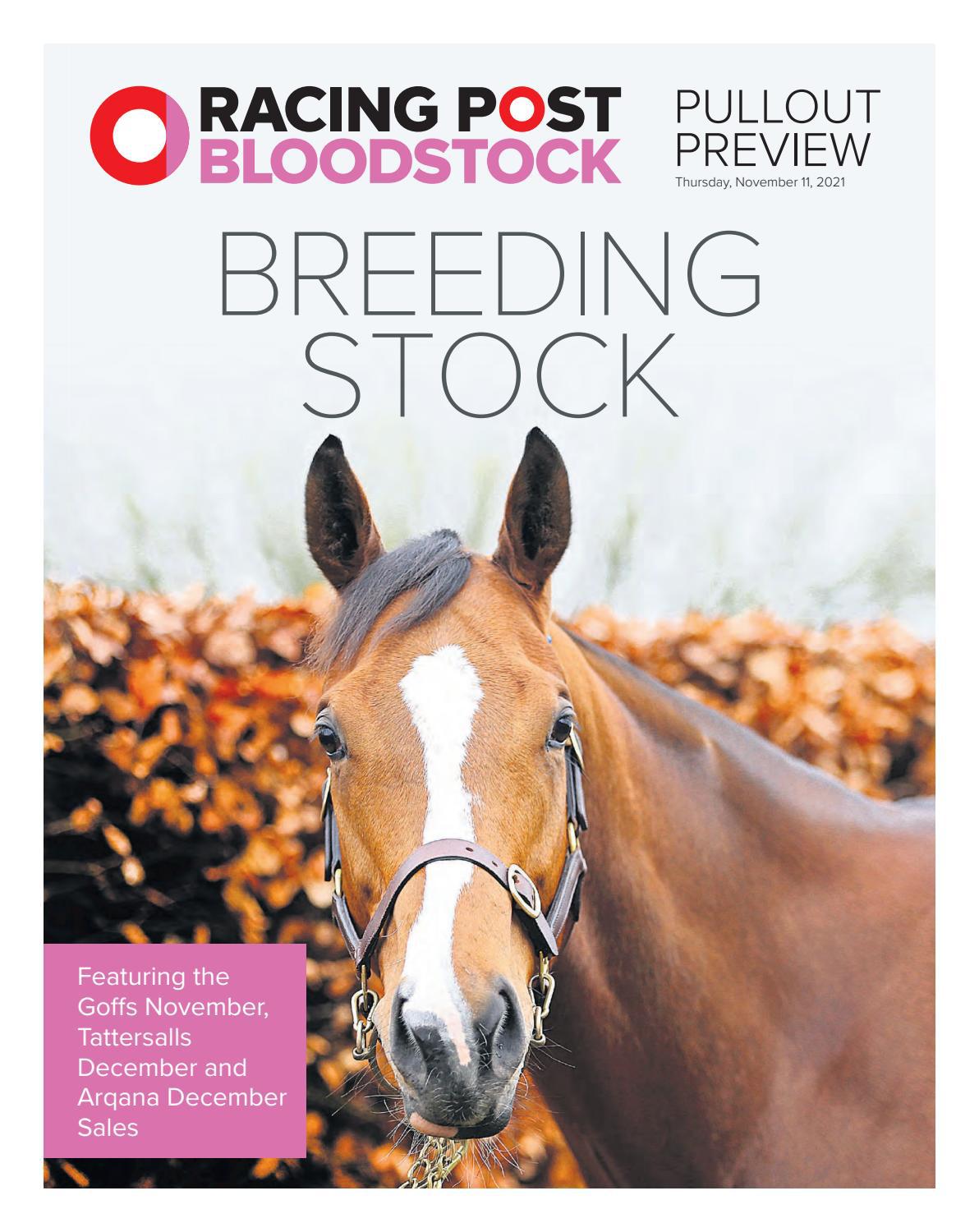 Breeding Stock by RACING POST BLOODSTOCK Issuu