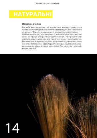 Brushes 第 14 页