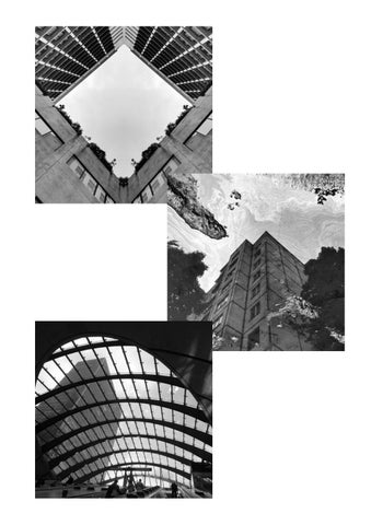 Black and white 第 11 页