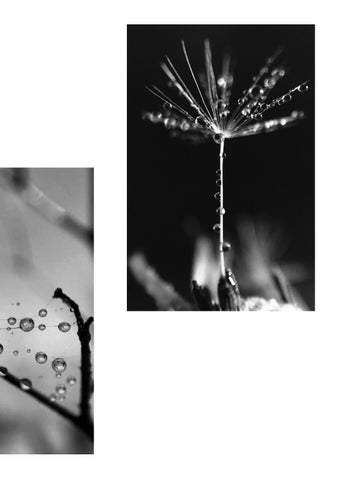 Black and white 第 17 页