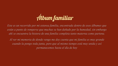 Album familiar 第 2 页
