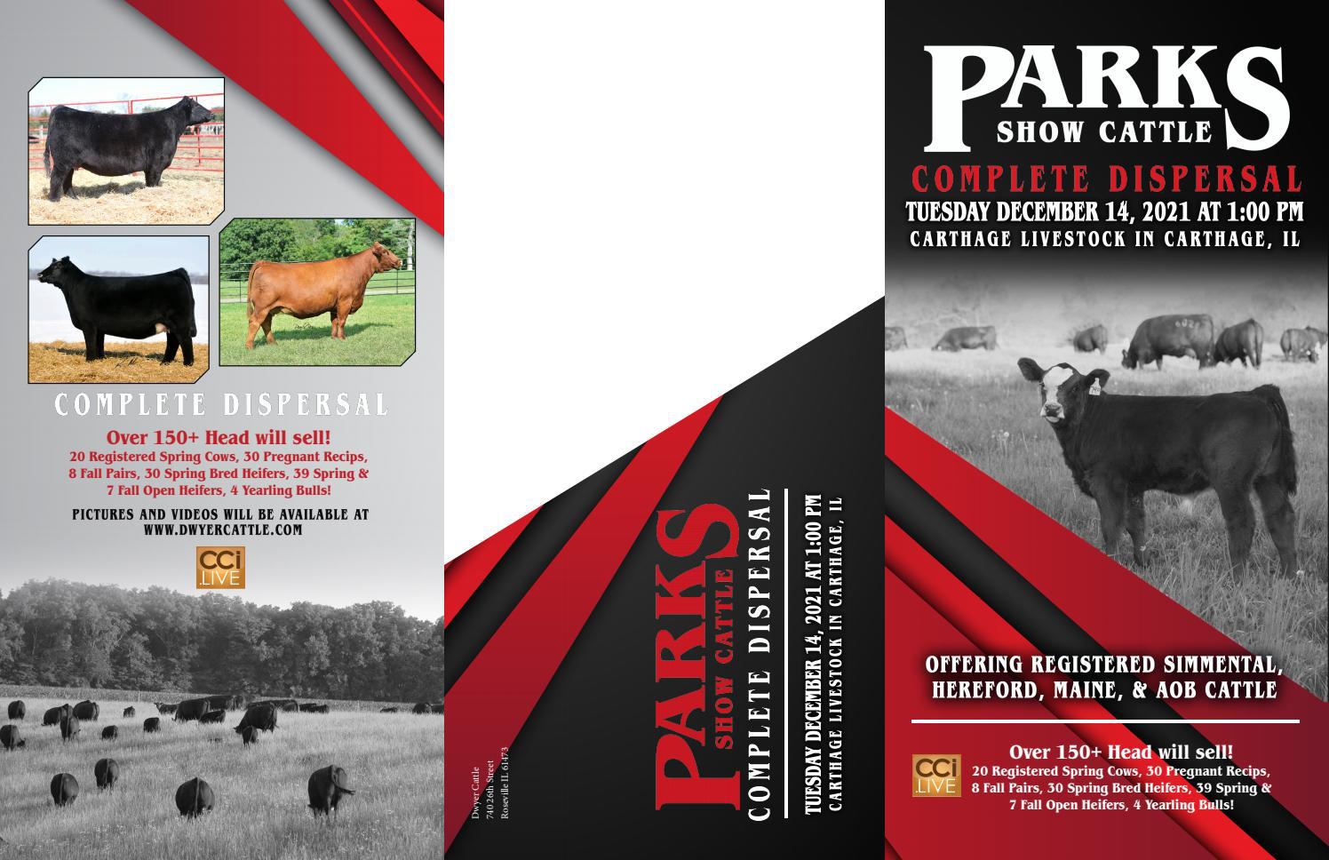 2021 Parks Show Cattle Dispersal by Nick Dwyer Issuu