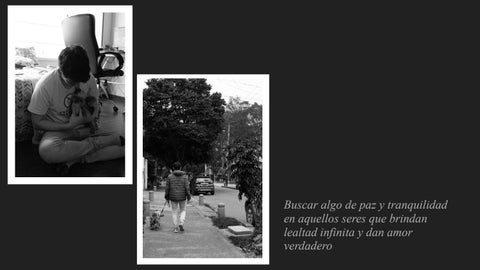 Estar lejos me hace daño 第 4 页