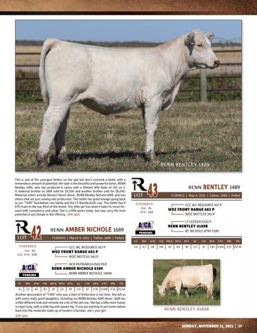 Rennert Ranch Maternal Legacies Sale Vol. 1 by Rennert Marketing ...