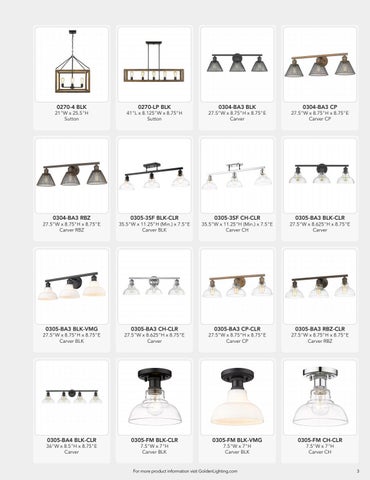 Comprehensive Visual Index 2021 第 3 页
