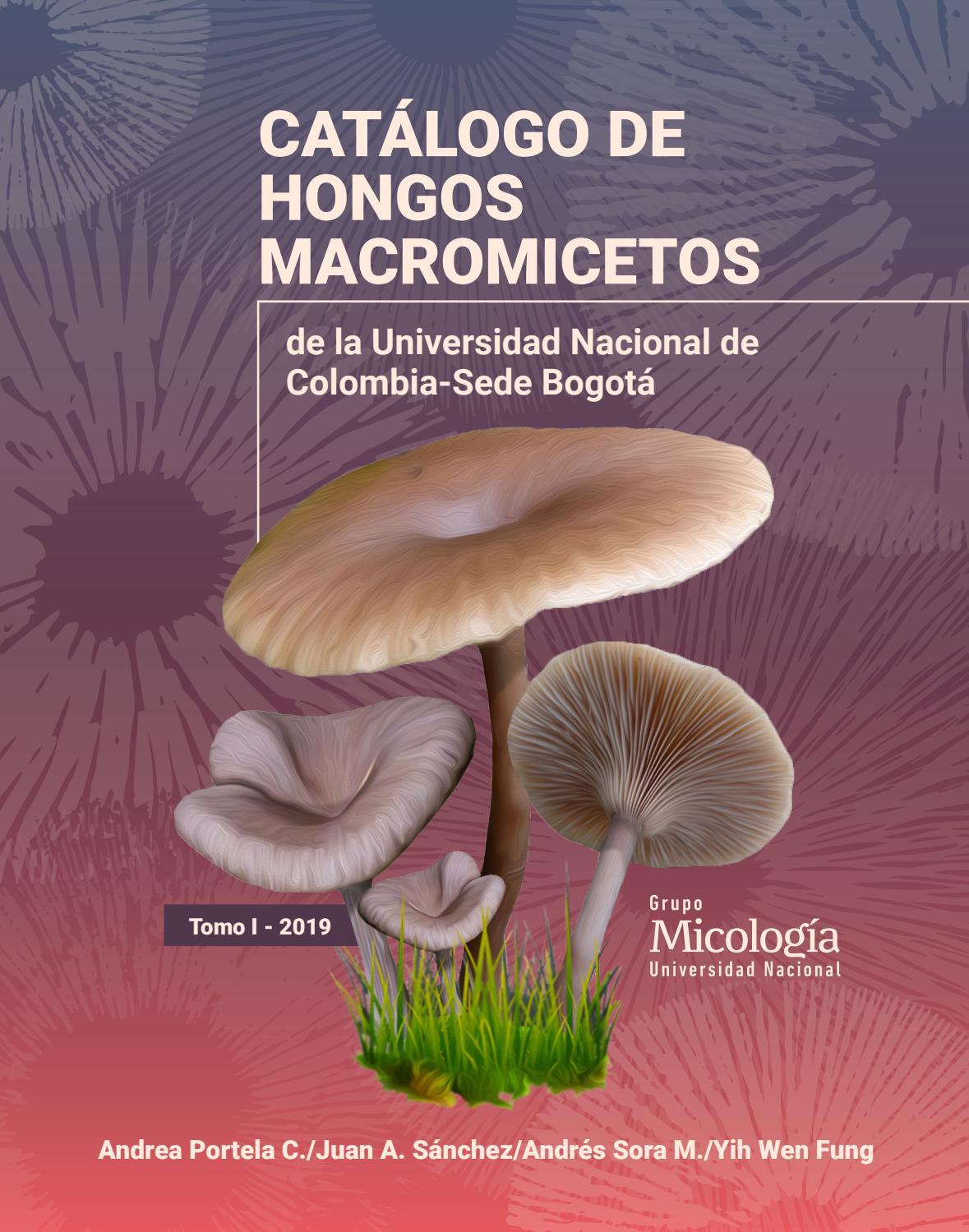 Impresión De Esporas De Hongos En Papel Aluminio - Decoración Fantasía Artesanal (Happy Shroomy Feathers)