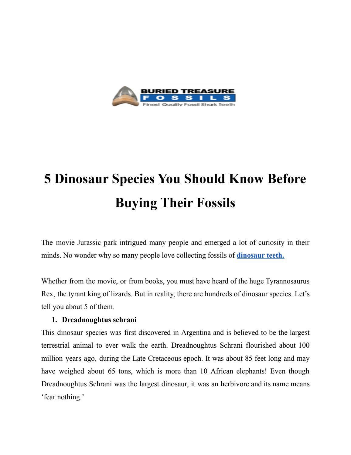 5 Dinosaur Species You Should Know Before Buying Their Fossils by