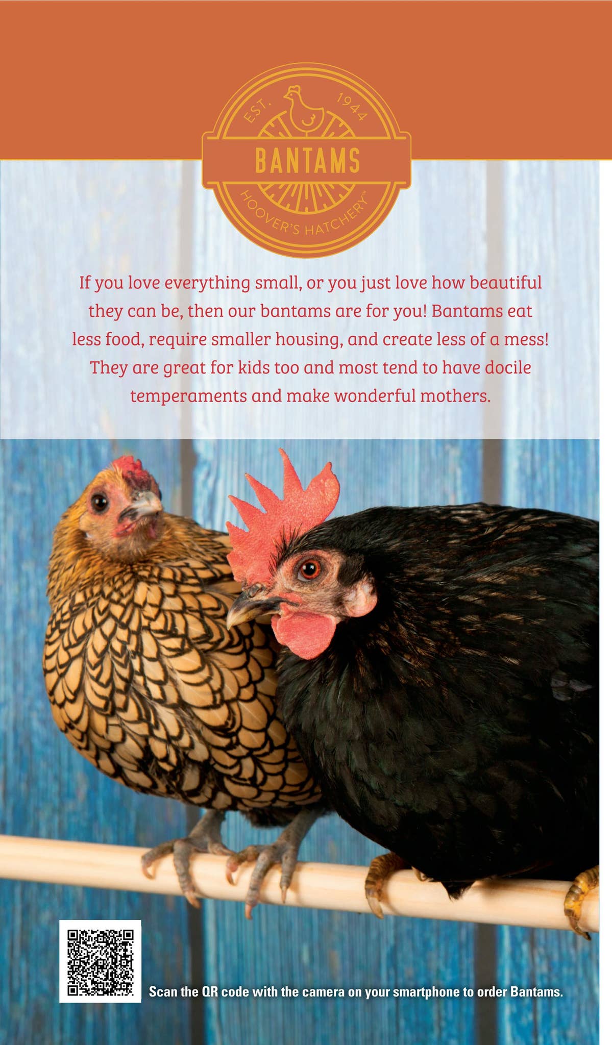 2022 Hoover's Hatchery™ Retail Catalog by Hoover's Hatchery Issuu