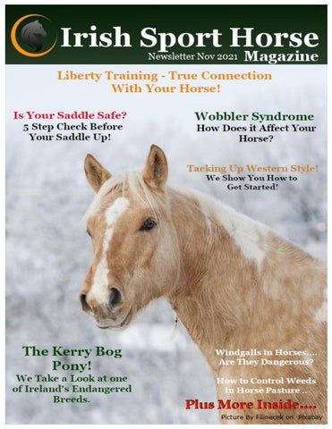 Irish Sport Horse Magazine Newsletter November 2021