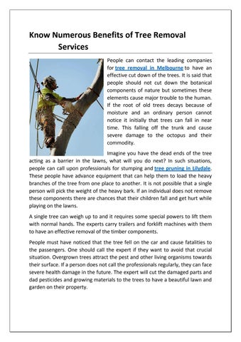 Know Numerous Benefits of Tree Removal Services by MTS Melbourne Tree ...