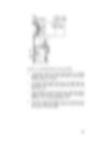Page 227