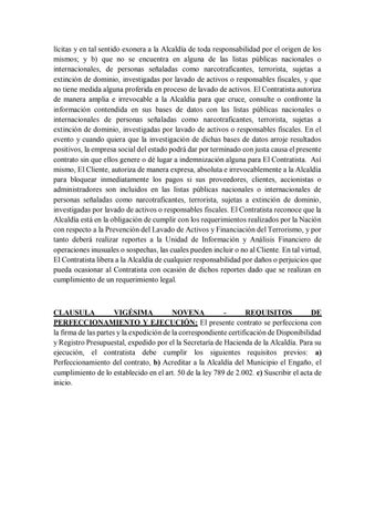 Dossier 德文 Contabilidad Publica y Presupuesto 第 17 页