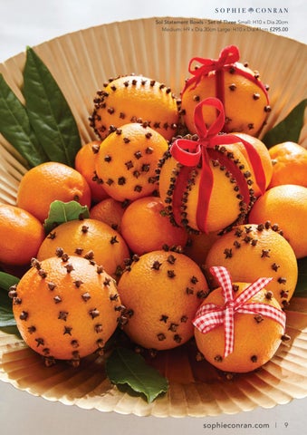 Sophie Conran Christmas 指南 2021 第 9 页