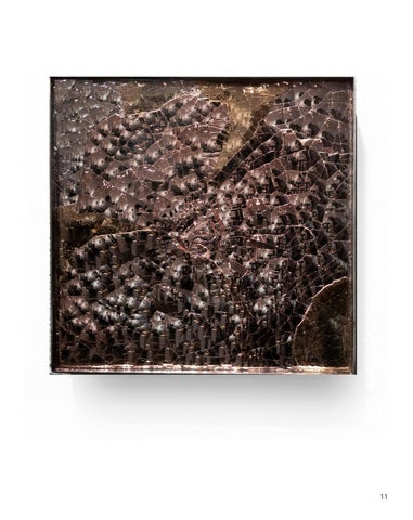 Anjali Srinivasan : Aurora 第 11 页