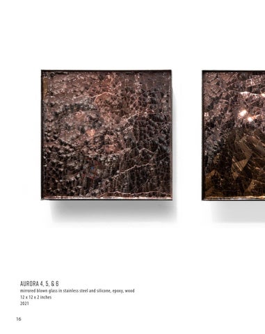 Anjali Srinivasan : Aurora 第 16 页