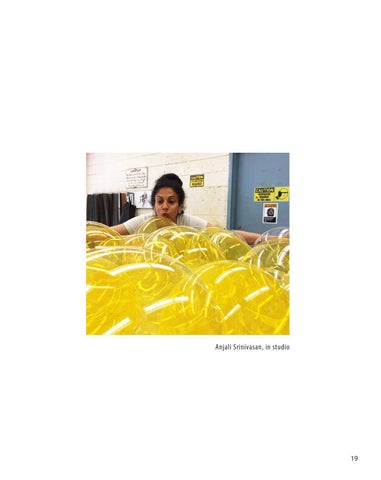 Anjali Srinivasan : Aurora 第 19 页