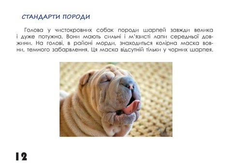 Шарпей 第 12 页