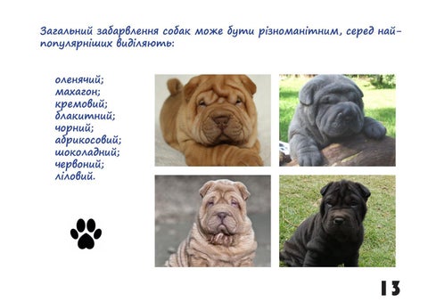 Шарпей 第 13 页
