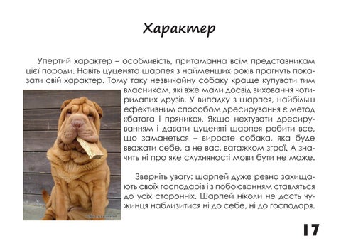 Шарпей 第 17 页