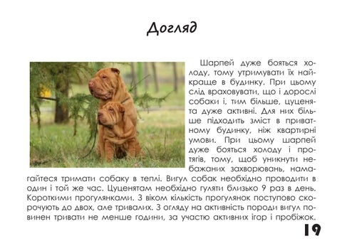 Шарпей 第 19 页