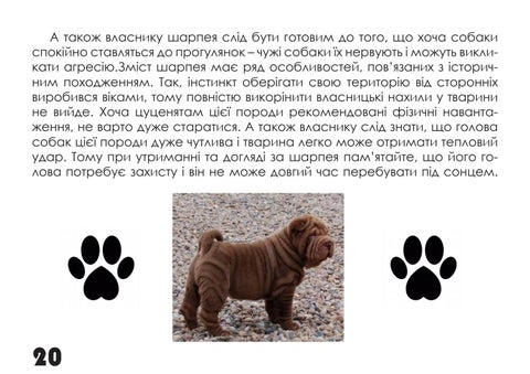 Шарпей 第 20 页