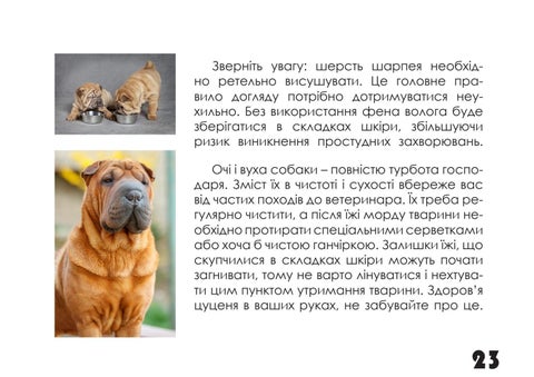 Шарпей 第 23 页