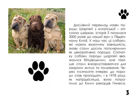 Шарпей 第 3 页