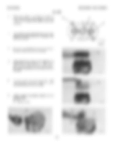 Page 305
