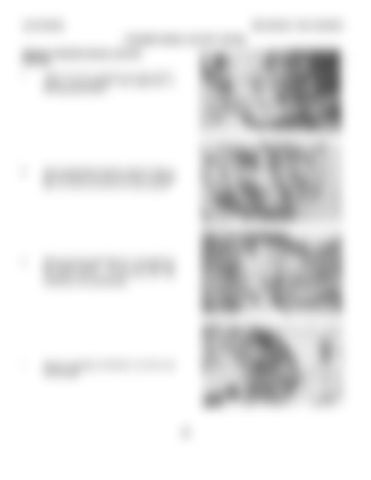 Page 345