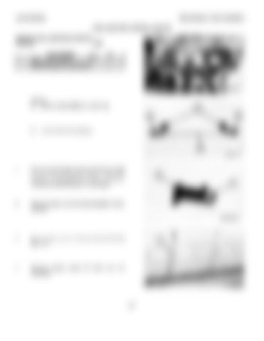 Page 384