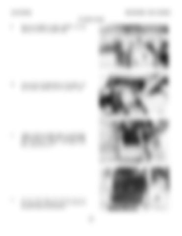 Page 391