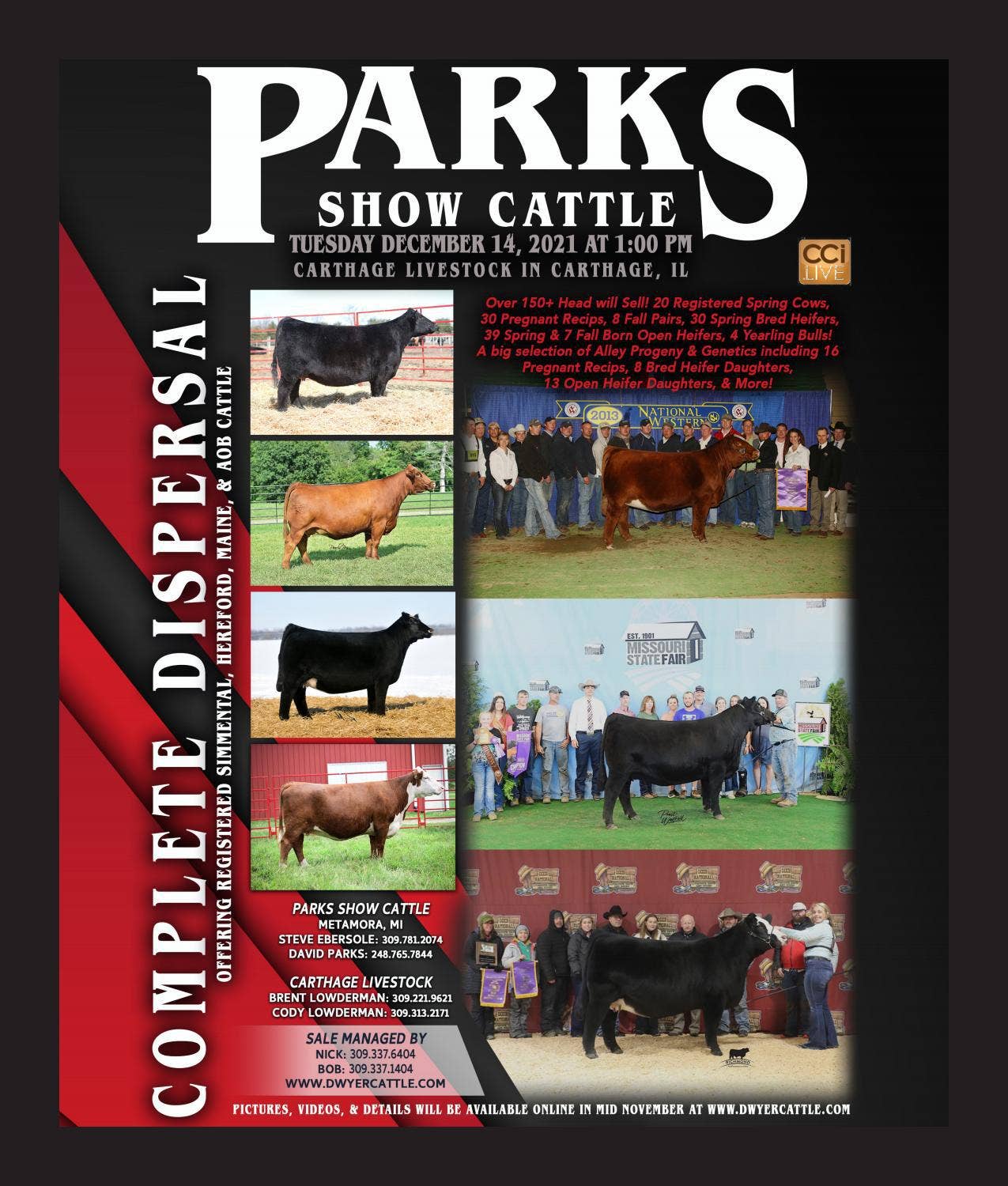2021 Parks Show Cattle Dispersal by Nick Dwyer Issuu