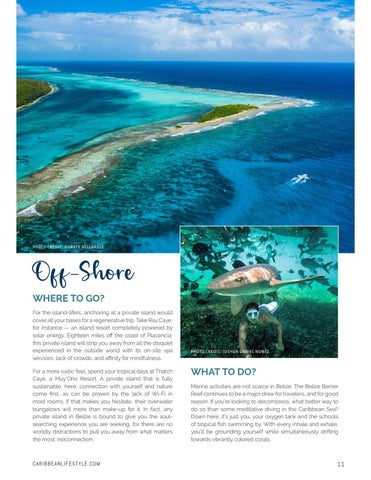 The Belize 金色 册 | 2021-2022 第 11 页