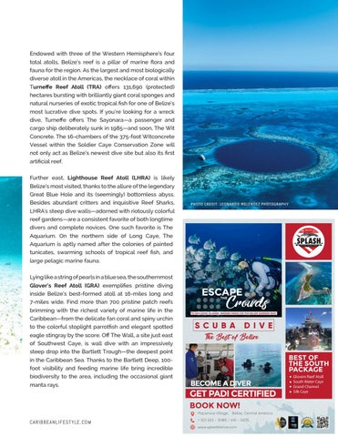 The Belize 金色 册 | 2021-2022 第 19 页