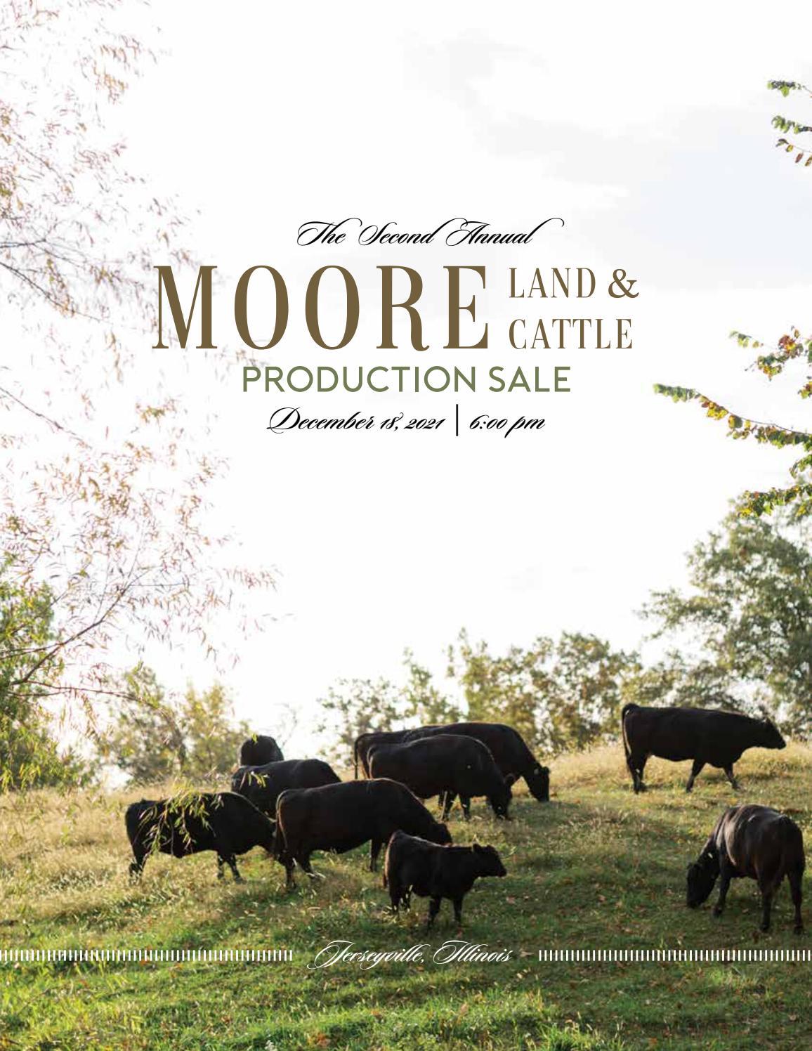 Moore Land and Cattle 2nd Annual Production Sale by Tracy McMurphy Issuu