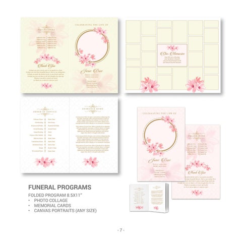 McNab Visual Strategies Product 灯饰目录 第 9 页