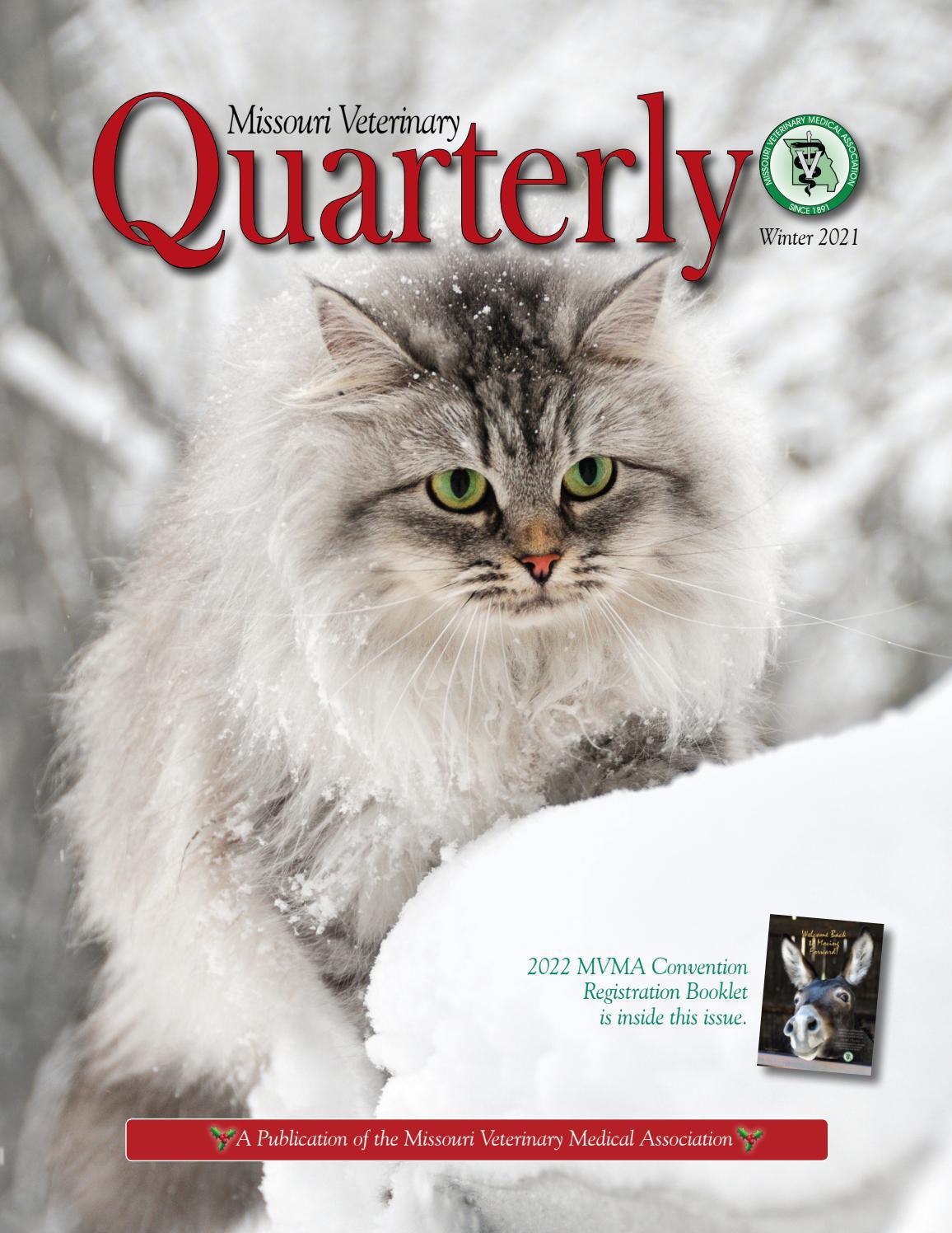 MVMA Winter Quarterly Magazine by movma - Issuu