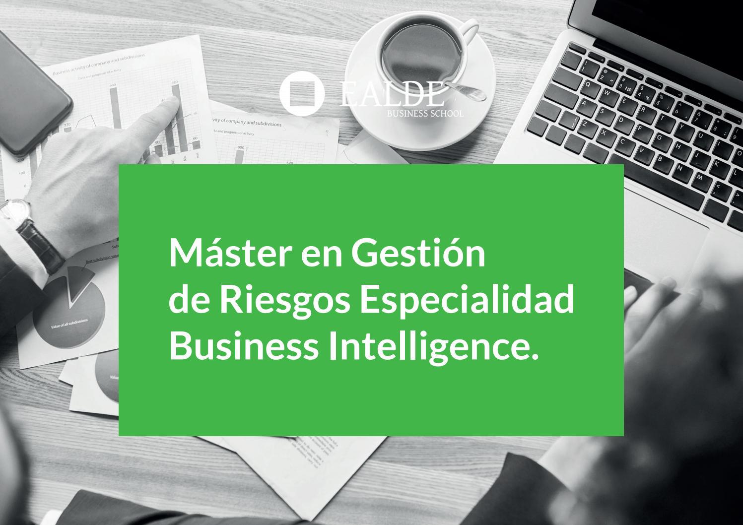 Máster En Gestión De Riesgos Especialidad Business Intelligence By