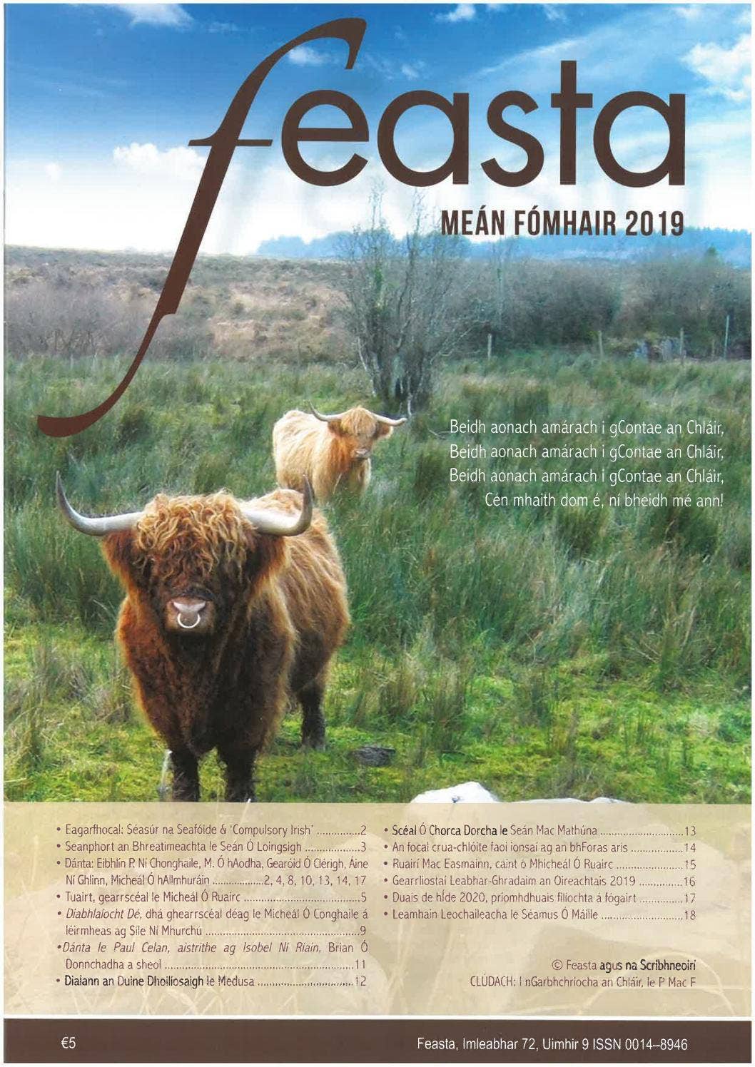 Dianchúrsa Scrúduithe/Irish Language Exam Course, image size:1058x1496