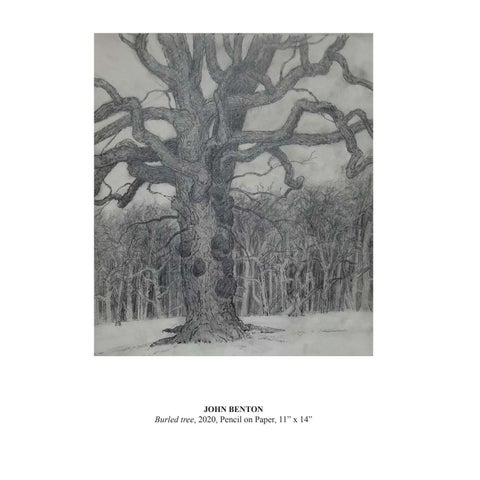 Zeuxis: In, On, Of Paper 第 13 页